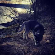 ���������� �������, ���� ������� ������, 27 ���, ������������ ��� ������, ����� � ���������, c�������� ���������, ���������