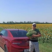 ���������� �������, ���� ������� ������, 35 ���, ������������ ��� ������, ����� � ���������