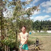 ���������� �������, ���� ������� �������, 38 ���, ������������ ��� ������, ����� � ���������, c�������� ���������