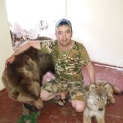  ,   ZAFAR, 43 ,   ,   