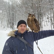 ���������� ������ ���, ���� ������� ����, 36 ���, ������������ ��� ������, ����� � ���������, c�������� ���������