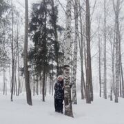 ���������� ����������, ���� ������� ������, 65 ���, ������������ ��� c�������� ���������