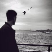 ���������� �������, ���� ������� Diplo, 32 ����, ������������ ��� ������, ����� � ���������