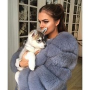 ���������� �����, ���� ������� LINA, 44 ����, ������������ ��� ������, ����� � ���������, c�������� ���������