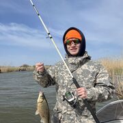 ���������� �����, ���� ����� ����, 24 ����, ������������ ��� ������, ����� � ���������