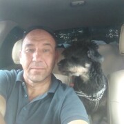  ,   , 51 ,   ,   