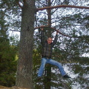 ���������� �����, ���� ������� ������, 43 ����, ������������ ��� ����� � ���������, c�������� ���������