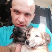 ���������� ������, ���� ������� ������, 42 ����, ������������ ��� ������, ����� � ���������, c�������� ���������, ���������