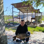 ���������� ���������, ���� ������� ������, 46 ���, ������������ ��� ������, ����� � ���������, c�������� ���������