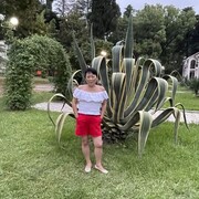  -,   , 62 ,   ,   