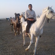  ,   Arman, 52 ,   ,   , c 