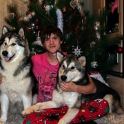 ���������� ���������, ���� ������� �������, 36 ���, ������������ ��� ������, ����� � ���������, c�������� ���������