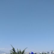 ���������� �����������, ���� ������� �������, 46 ���, ������������ ��� ����� � ���������, c�������� ���������