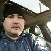 ���������� �������, ���� ������� Shovkat, 38 ���, ������������ ��� ������, ����� � ���������