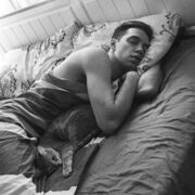 ���������� ������, ���� ������� ˸��, 39 ���, ������������ ��� ������, ����� � ���������