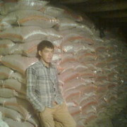 ���������� �������, ���� ������� ShAxA, 33 ����, ������������ 