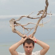 ���������� �����, ���� ������� ���������, 45 ���, ������������ ��� ������, ����� � ���������, c�������� ���������