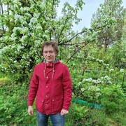  -,   Dmitry, 31 ,     , c 