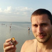  ,   , 38 ,     , c 