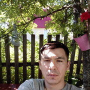  ,   , 43 ,   