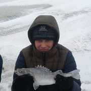 ,   , 46 ,   