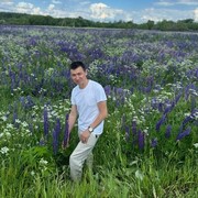 ���������� ����-�������, ������� ������, 50