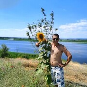 ���������� �������, ���� ������� �����, 38 ���, ������������ ��� ������, ����� � ���������, c�������� ���������