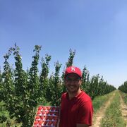 ���������� ������, ���� ������� ����, 40 ���, ������������ ��� ������, ����� � ���������