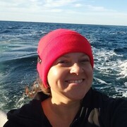 ���������� �����������, ���� ������� ��������, 40 ���, ������������ ��� ������, ����� � ���������, c�������� ���������