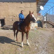  ,   , 35 ,   ,   