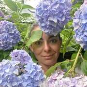 ���������� ������, ���� ������� ��������, 34 ����, ������������ ��� ������, ����� � ���������, c�������� ���������