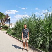 ���������� ����, ���� ������� ��������, 43 ����, ������������ ��� ������, ����� � ���������, c�������� ���������, ���������