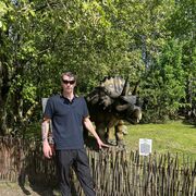 ���������� �����, ���� ������� ����, 41 ���, ������������ ��� ������, ����� � ���������