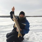 ���������� �������, ���� ������� �����, 36 ���, ������������ ��� ������, ����� � ���������, c�������� ���������