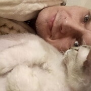 ���������� ����������, ���� ������� �������, 39 ���, ������������ ��� ������, ����� � ���������