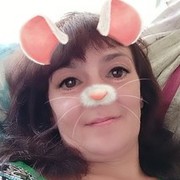  ,   , 41 ,  