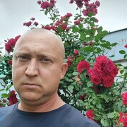 ���������� ���������, ���� ������� ��������, 42 ����, ������������ ��� ������, ����� � ���������