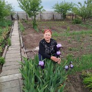  ,   , 67 ,   c , 