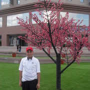  ,   , 42 ,   ,   , c 