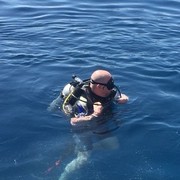 ���������� ��������������, ���� ������� �������, 60 ���, ������������ ��� ������, ����� � ���������