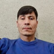 ���������� �����, ���� ������� Kamol, 46 ���, ������������ ��� ������, ����� � ���������