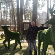 ���������� ������, ���� ������� ����, 41 ���, ������������ ��� ������, ����� � ���������