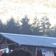 ���������� ������, ���� ������� ���, 36 ���, ������������ ��� ������, ����� � ���������, c�������� ���������