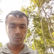 ���������� ������, ���� ������� ����, 36 ���, ������������ ��� ������, ����� � ���������