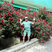 ���������� ������, ���� ������� ������, 62 ����, ������������ ��� ������, ����� � ���������, c�������� ���������