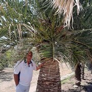  ,   , 51 ,   ,   , c 