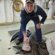  -,   , 29 ,   ,   , c 