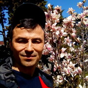 ���������� �����������, ���� ������� �����, 50 ���, ������������ 