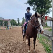  ,   , 30 ,   ,   , c , 