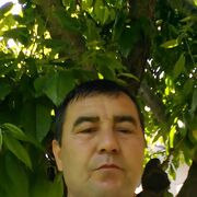  ,   Xomid, 44 ,   ,   , c , 